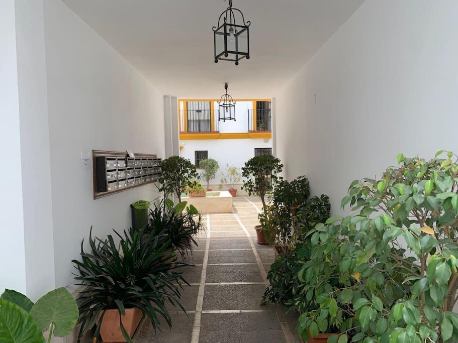 Pilsev Center Apartment Sevilla Eksteriør bilde